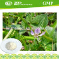 Alibaba china Andrographis paniculata extract powder medicine grade